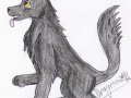 BlackWolf.jpg